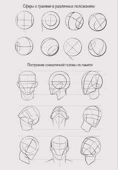 how to draw the human head in different ways