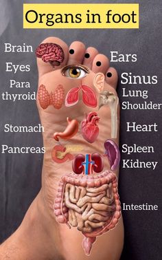 Eye Health Remedies, Healing Reflexology, Pressure Point Therapy, Reflexology Foot Chart, Foot Reflexology Massage, Body Massage Techniques, Hand Reflexology, Reflexology Chart, Pressure Point