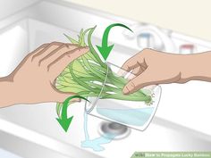 a person is washing green onions in a sink