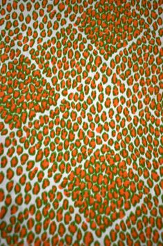 an orange and white background with green dots