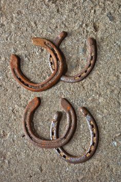 two rusty horseshoes laying on the ground