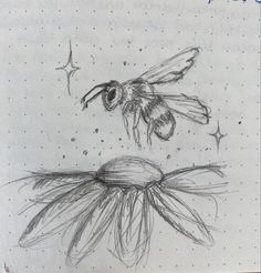 Bee and flower, bee, easy drawing ideas, drawing bee, flowers, drawing ideas, simple drawing Bee In Flower Drawing, Bees On Flowers Drawing, Flower Drawing Inspo Sketch, Bumble Bee Sketch Simple, How To Draw Bee Wings, How To Draw Bees Easy, Easy Drawing Ideas Flowers, Bee Drawings Simple, Bee Flower Drawing