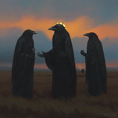 three black crows standing in a field with the sun setting behind them and one bird on its head