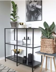 a shelf with some plants and candles on it next to a potted plant in a basket