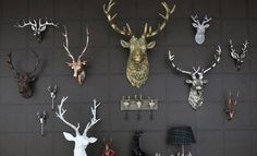 there are many different types of deer heads on the wall