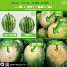 how to choose a sweet watermelon