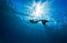 a person swimming under the sun in the ocean