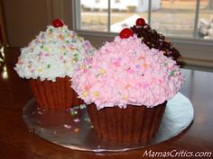 two cupcakes with pink frosting and sprinkles on a plate