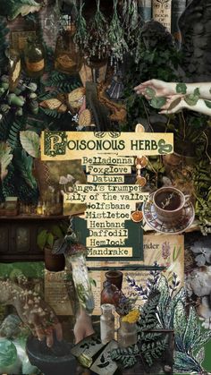 a collage of plants, herbs and other items in a room with the words conscious herb written on it