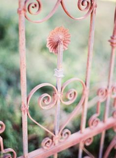 an old iron gate in the grass