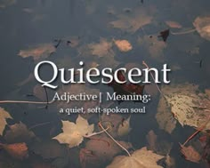 leaves floating on water with the words, quiescentt adjective meaning a quiet soft - spoken soul