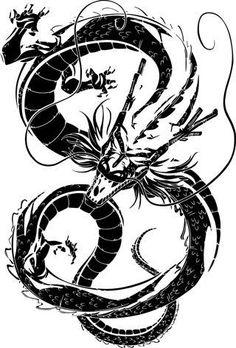 a black and white drawing of a dragon