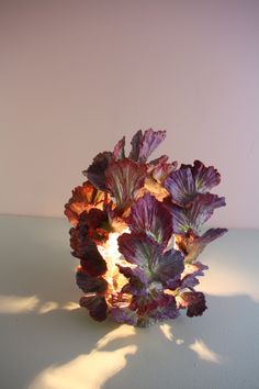 a purple plant sitting on top of a table