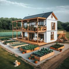 a dog laying on the ground in front of a house with an attached deck and vegetable garden