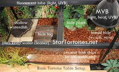 a display case with plants and rocks on the bottom shelf, labeled in different languages