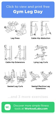 Good Leg Day Workouts, Leg Excersizes Gym, Lower Body And Abs Workout Gym, Leg Machines At Gym Workout Routines, Beginner Legs Workout Gym, Beginner Leg Day Workout At The Gym, Legs And Back Workout Gym, Workouts Legs Gym, Leg Workout Gym Women Beginner