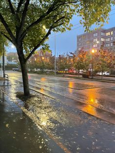 an empty city street with rain on the ground