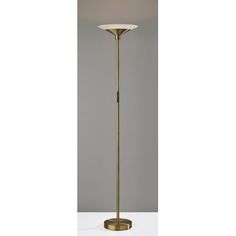 a floor lamp with a white shade on the top and a gold base, in front of a gray wall