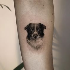 a black and white dog's face is shown on the right arm, while it appears to be in color