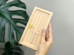 a person holding up a wooden door with a key on it and a plant in the background