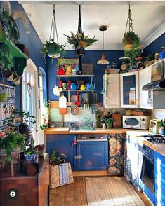 a kitchen filled with lots of potted plants next to a stove top oven and microwave