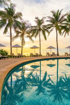 an empty swimming pool surrounded by palm trees