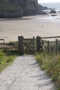 a path leading to the beach with people walking on it