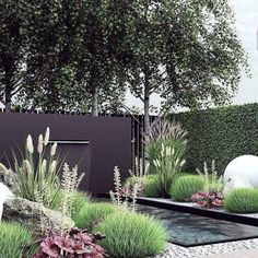 an outdoor garden with plants and water features