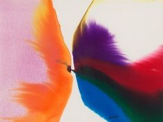 an image of two colorful umbrellas with feathers on it's sides side by side