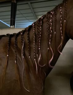 a brown horse with braids on it's back in a barn or stable