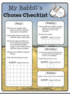 the rabbit's chore checklist is shown in this printable activity sheet