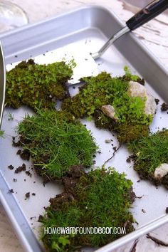 the tray is filled with green moss and dirt, while someone uses a knife to cut it