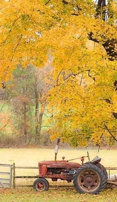 an old red tractor parked in front of a tree with yellow leaves on it's branches