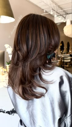 Haylujan Hair, Brown Highlights With Layers, Medium Length Hair With Layers Back View, Layers With Highlights Brunettes, Butterfly Cut Mid Length, Medium Dark Brown Hair With Layers, A Lot Of Layers Haircut Medium, Middle Eastern Hair Color, Half Head Highlights Brown Hair