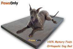 a gray dog laying on top of a memory foam mat with the words paws only