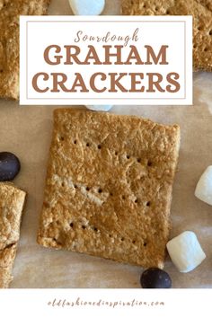 graham crackers with marshmallows and black olives