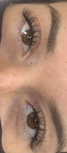 Pretty Natural Lashes, Aesthetic Eyelashes Natural, Lash Extensions Very Natural, Nature Lash Extensions, Nature Eyelash Extensions, Lash Extension Natural Look, Really Natural Lash Extensions, Most Natural Eyelash Extensions, Cute Natural Eyelash Extensions