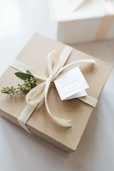 a present wrapped in brown paper with a white ribbon and a small green plant sitting on top of it