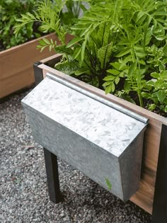 there is a planter with plants in it and gravel on the ground next to each other