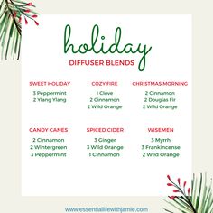 Holiday Diffuser Blends, Herbs Medicine, Joy Essential Oil, Essential Oils Focus, December Winter