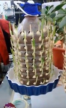 two vases with plants in them sitting on a table