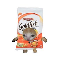 a small toy hamster in a bag of goldfish crackers