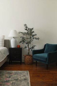 a bedroom with a bed, two chairs and a small tree in the corner next to it