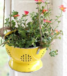 a yellow colander planter hanging from a window sill filled with red flowers