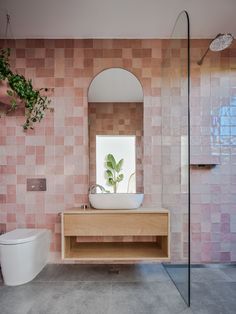 a bathroom with a sink, mirror and toilet in the corner next to a plant