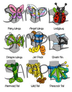 the different types of bugs and their names