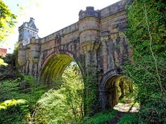 an old stone bridge surrounded by greenery