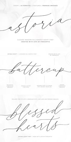 three different types of calligraphy are shown in black and white, with the words aster