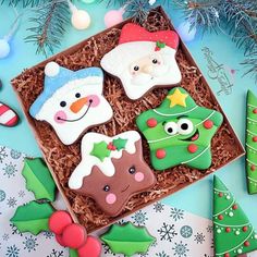 decorated christmas cookies in a box on a table