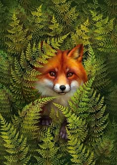 a red fox peeking out from behind some green leaves